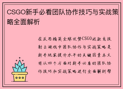 CSGO新手必看团队协作技巧与实战策略全面解析